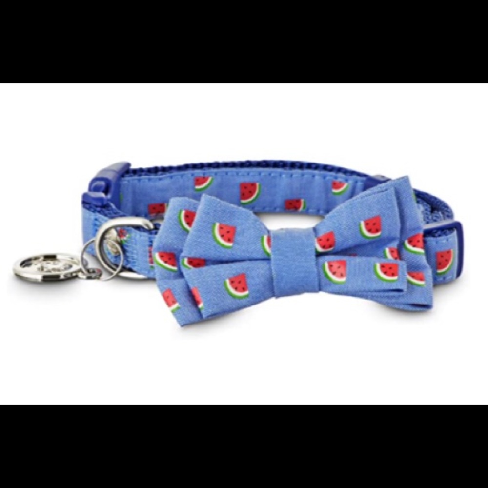 Bond & Co Dog Collar, Summer Watermelon, L/XL